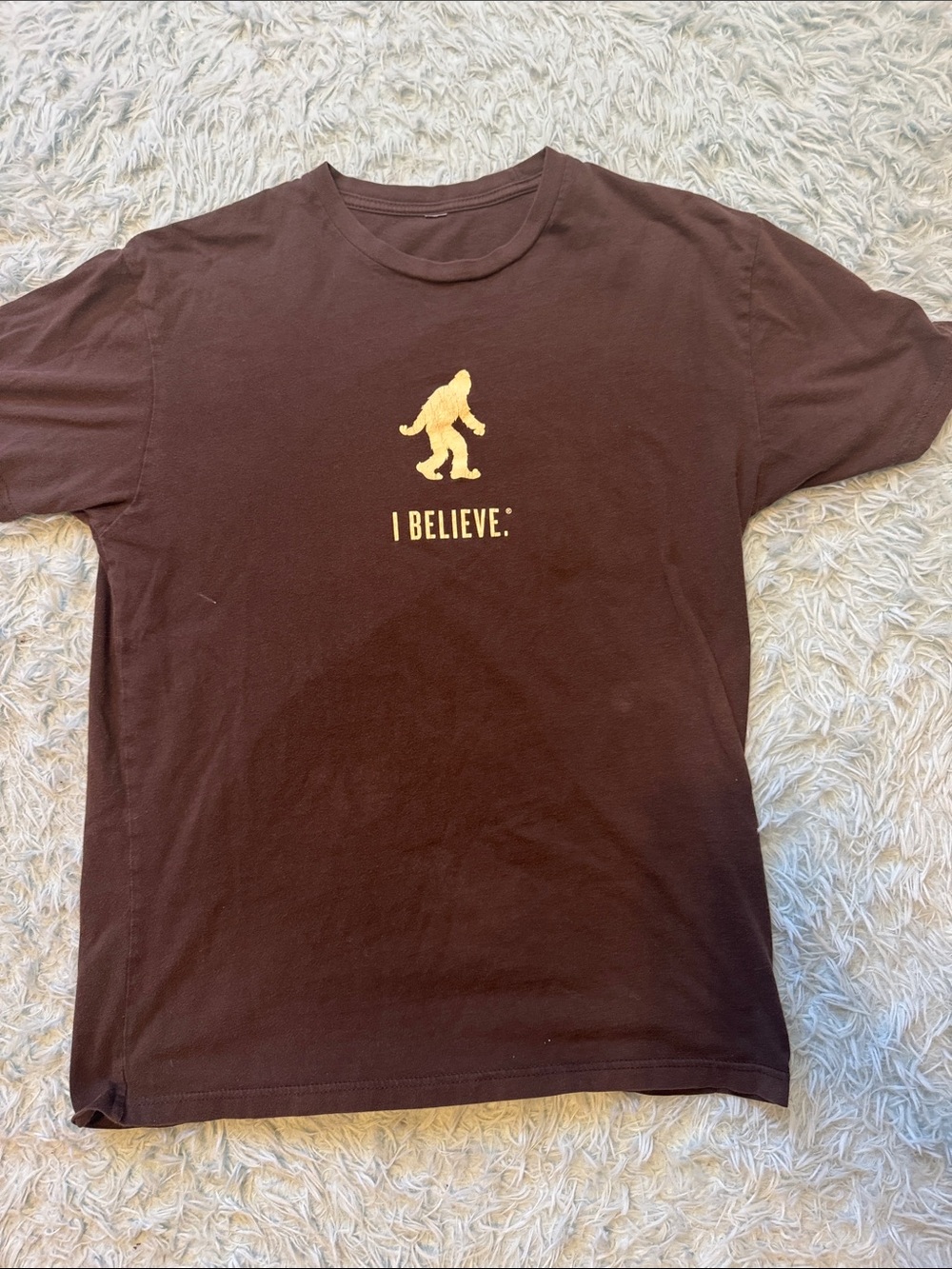 Big Foot. I Believe Brown Graphic Tee - Men small. 98